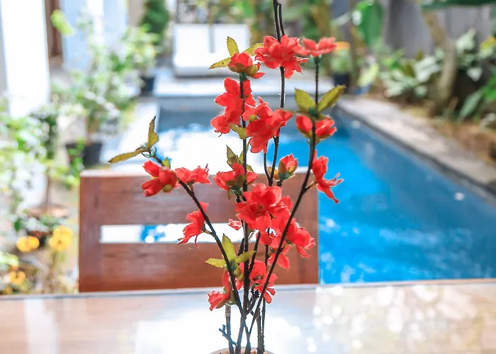 Alia Affittacamere Sanur