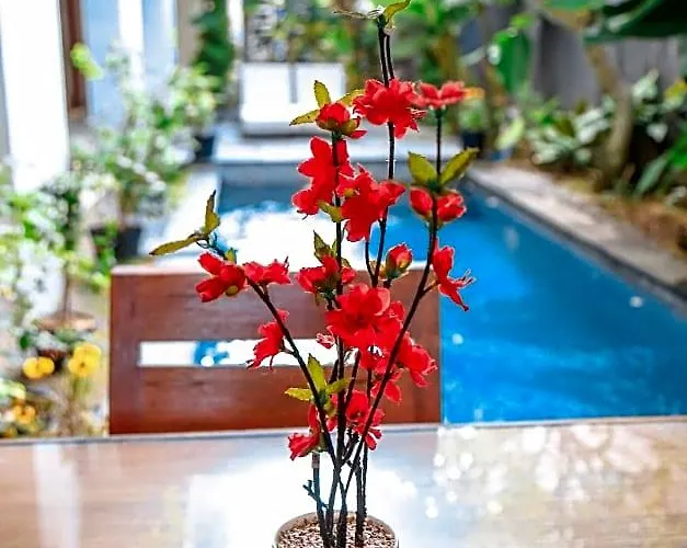 Alia Sanur